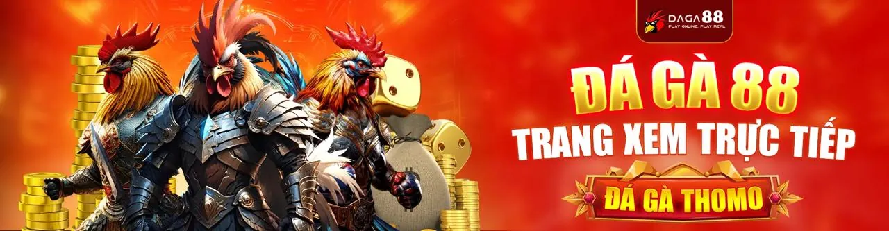 Đá Gà Trực Tuyến 79k09