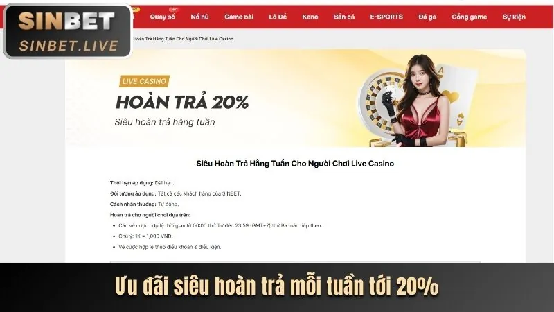 Các chương trình khuyến mãi và ưu đãi độc quyền 79k09